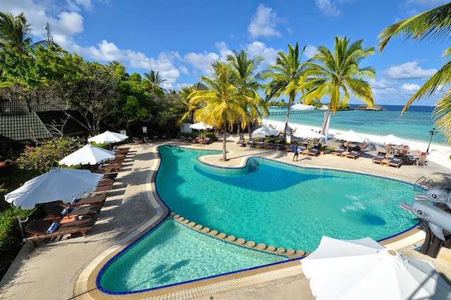 Dolphin Pool, Paradise Island Resort & Spa