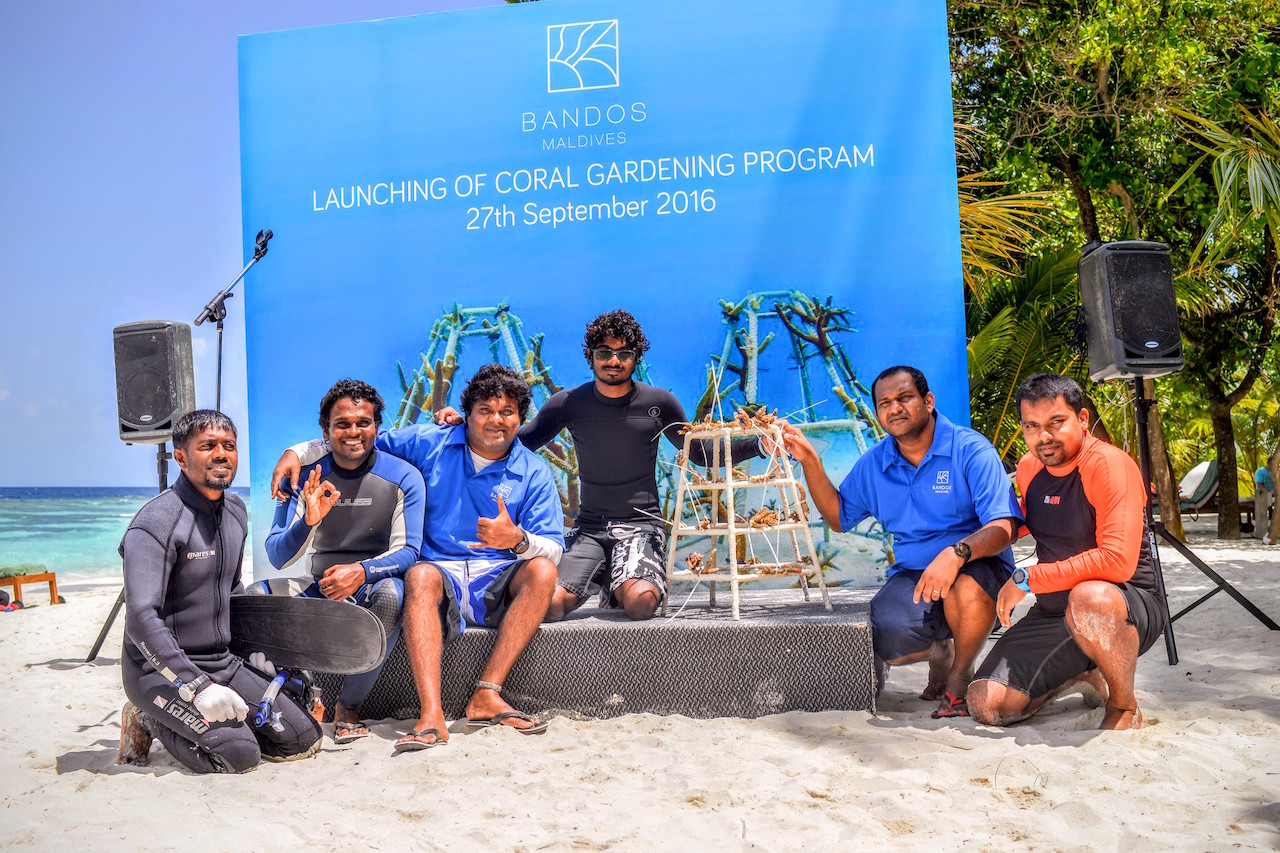Coral Gardening Project, Bandos Maldives
