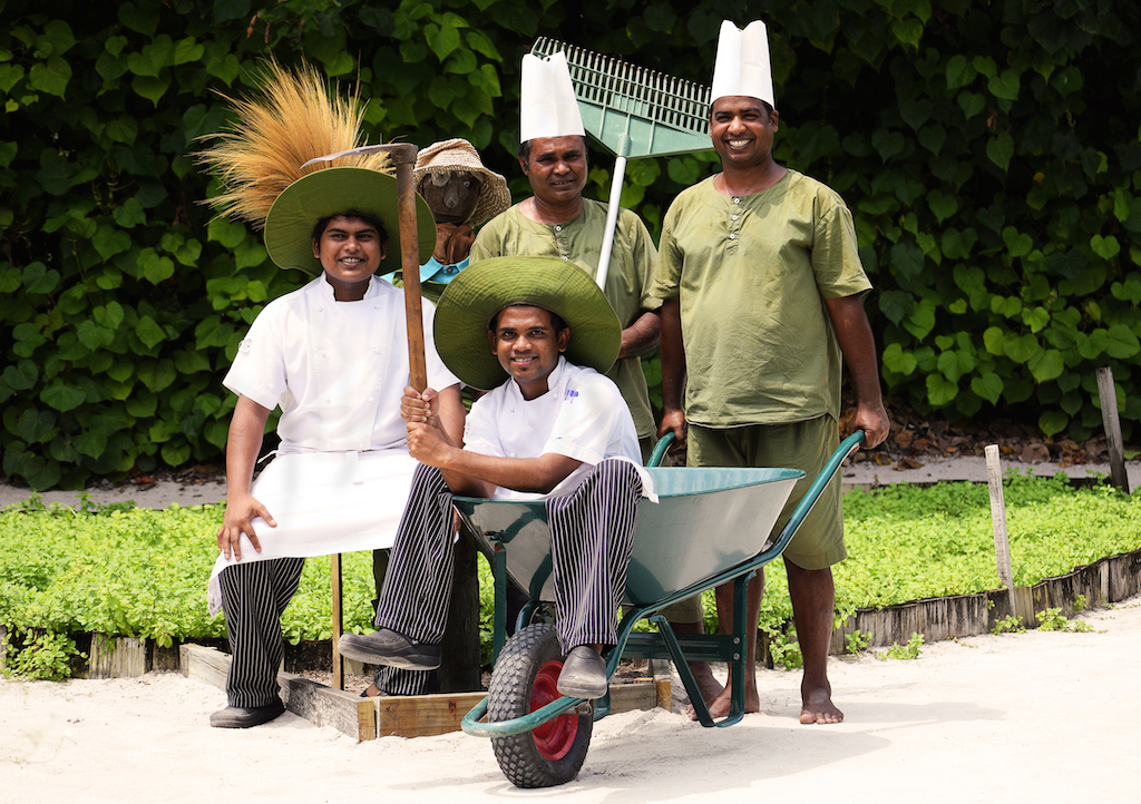 Chefs and gardening team working together, Six Senses Laamu