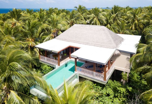 Treetop Pool Villa (1&2 Bedroom) - Amilla Maldives